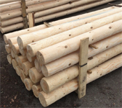 Wood Poles