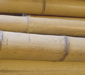 Bamboo Poles