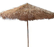 Bamboo Palapa