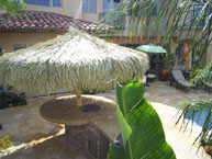 Palm Palapa