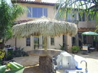 Palm Palapa